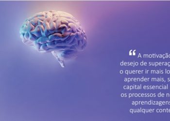 Como funciona o Ser Humano, do básico ao superior?