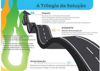 Incêndios em Portugal – A Triologia de uma Solução (1/3) – A PRECEDÊNCIA