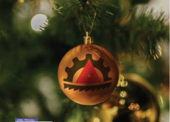 Revista “segurança” nº 259