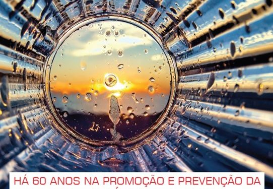 Revista “segurança” nº 265