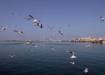 TRABALHO MARÍTIMO: um mar de riscos